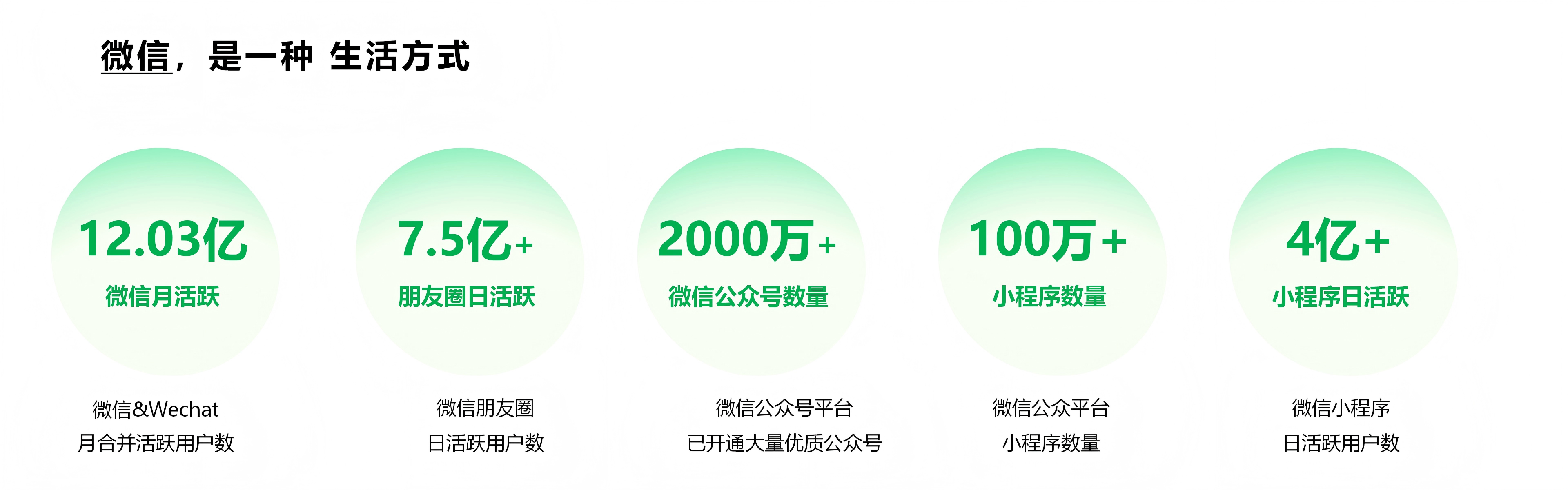 广西黑天鹅网站优化_02.png